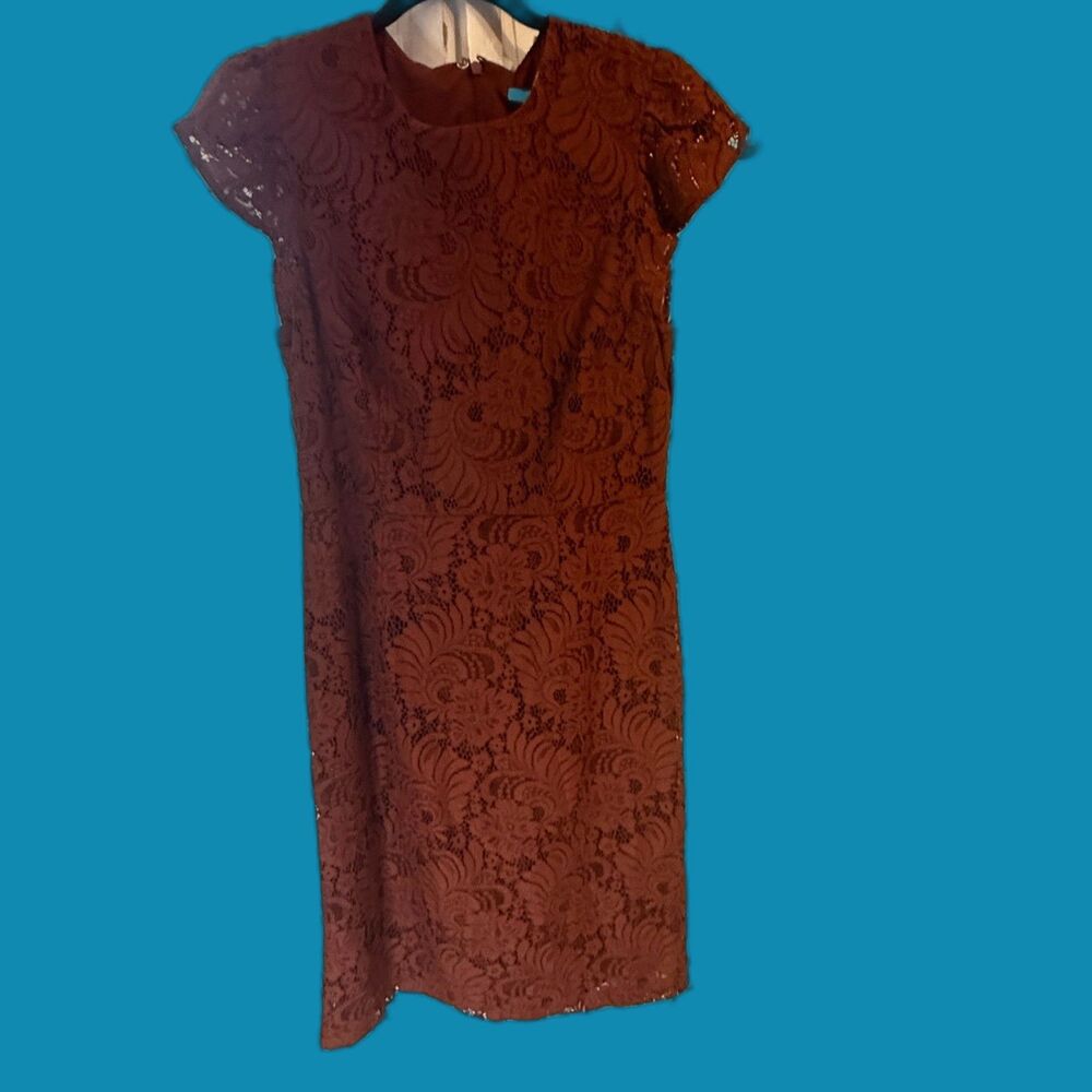 H and M Burnt Orange/Rust Lace Cap Sleeve Midi Dress size 12 NWT